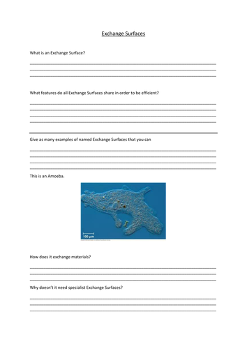 Exchanging Materials Worksheet