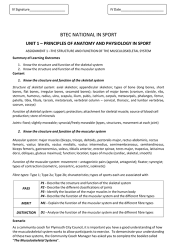 BTEC L3 Sport Unit 1 Anatomy and Physiology - all 3 assignment briefs, 2 booklets.
