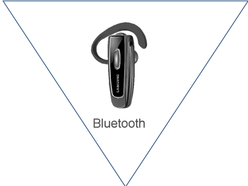 Software Bunting ICT