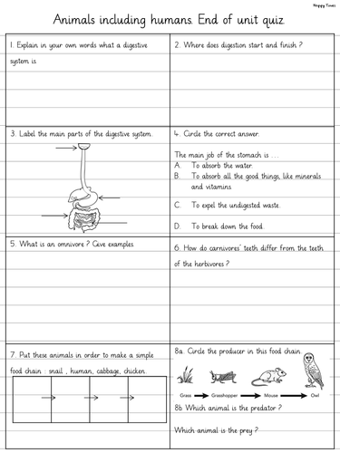 ANIMALS INCLUDING HUMANS end of unit revision, quiz, worksheet (digestive system)