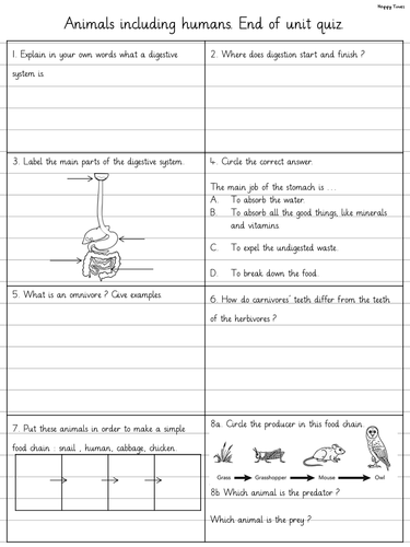 ANIMALS INCLUDING HUMANS end of unit revision, quiz, worksheet (digestive  system) | Teaching Resources