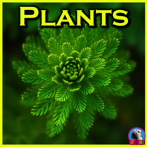 Plants - PowerPoint & Activities