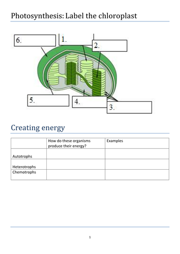 A Level Photosynthesis Revision Booklet