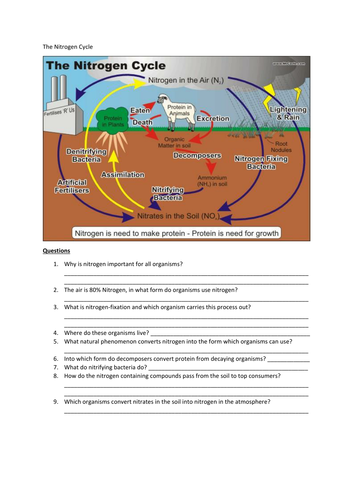 The Nitrogen Cycle