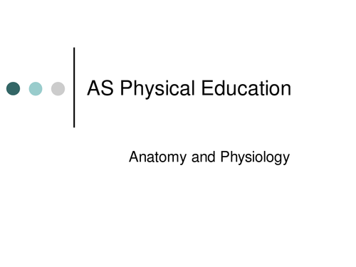 A Level PE - The Muscualar System