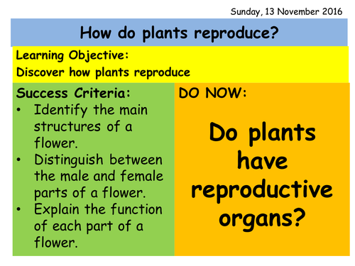 Reproduction in Plants