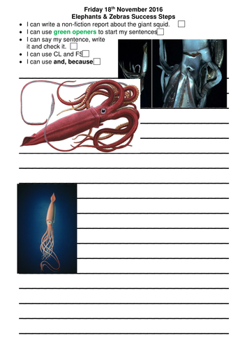 1 week non-fiction English planning for Year 2 on the giant squid