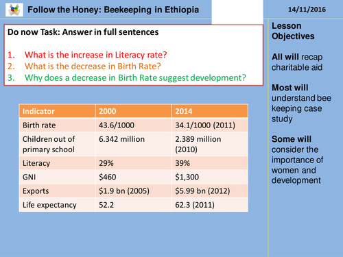 Development: Ethiopian Bee-Keeping