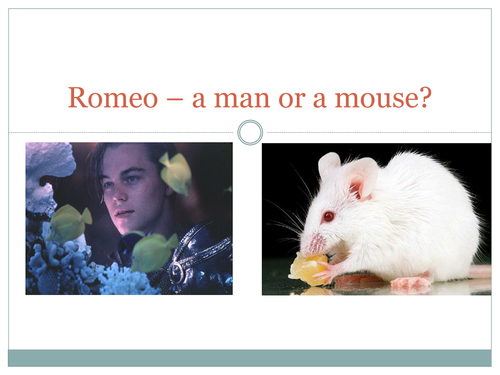 Romeo- man or mouse?