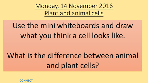 Lesson 1 animal and plant cells