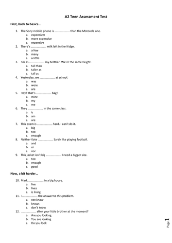 ESL Elementary/Pre-Intermediate Placement Test or Revision - 100 questions