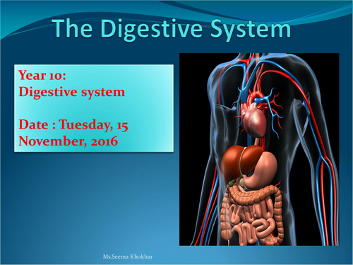 Digestive system with worksheet and ppt  and past paper questions