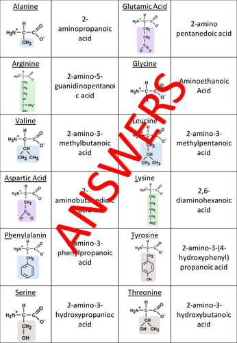 AQA A Level 3.3.13 Amino Acids, Proteins and DNA