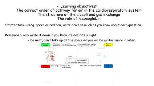 Gas exchange lesson for GCSE PE AQA and Edexcel specific