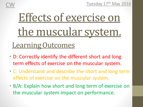 OCR 1-9 GCSE PE Muscular system unit of work / scheme of learning
