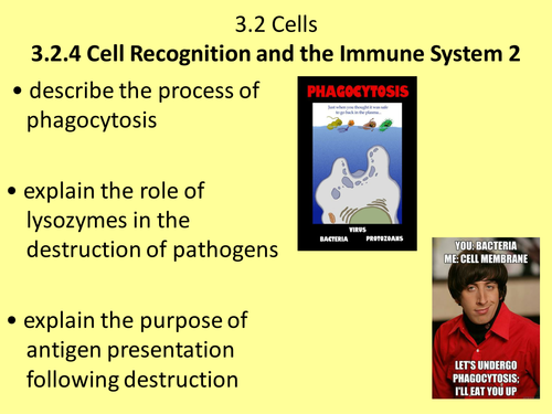 NEW AQA AS UNIT 3.5 Cell Recognition and the Immune System