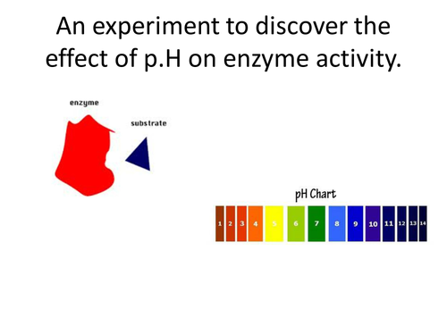 Incorporating Functional Skills Maths into an enzyme practical