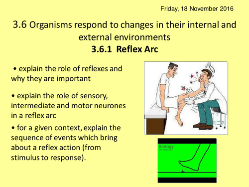 NEW AQA A2 BIOLOGY UNIT 6 - Organisms respond to changes in their environments