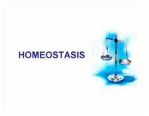 Homeostasis and the Nervous System