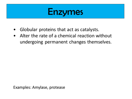 AQA AS -Enzymes