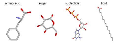 AQA AS Biological Molecules