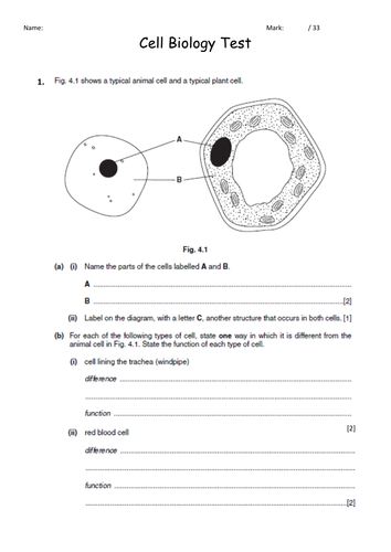 New GCSE - Cell Biology End of unit test
