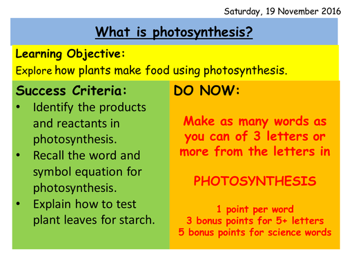 Photosynthesis and Ecosystems