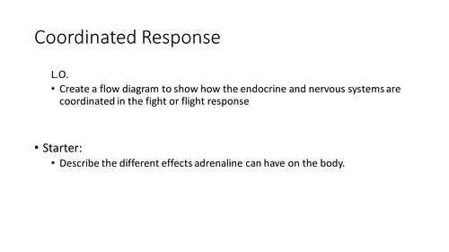 Fight or Flight (new OCR)