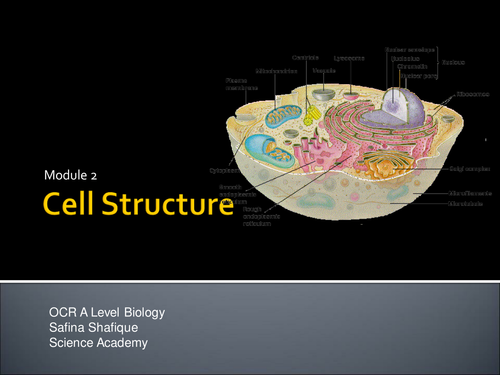 OCR Biology 2015 Cells