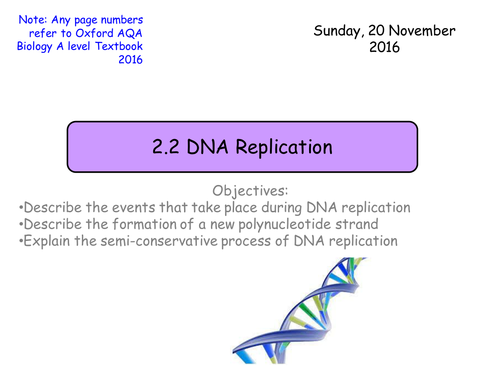 Section 1. Nucleic Acids. 2.2 DNA Replication NEW Year 12 Biology specification