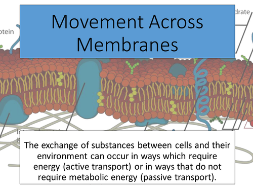 AQA AS - Movement across membranes (diffusion, osmosis, active transport)