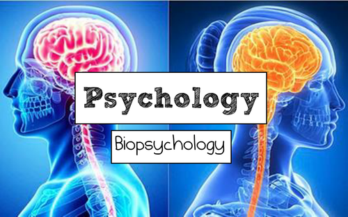 AQA A Level Psychology (New Spec): Biopsychology FULL Unit of Work - Free Sample