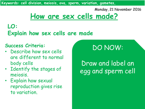 Cell Division