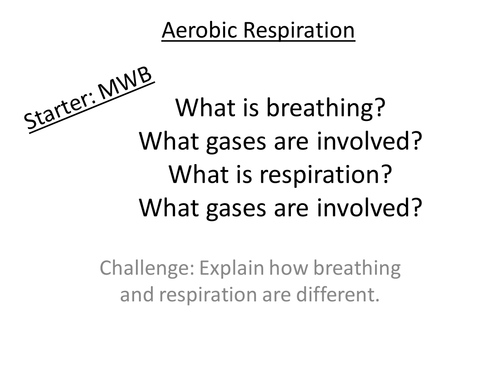 B2.15 Aerobic Respiration GCSE Biology