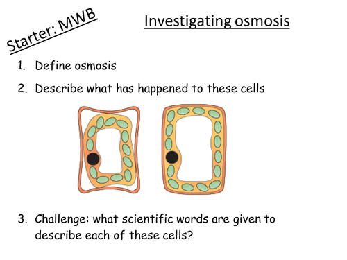 B2.22 Investigating osmosis GCSE Biology