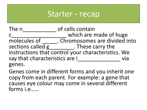 Chromosomes And Inheritance Worksheet Answers - Worksheet List