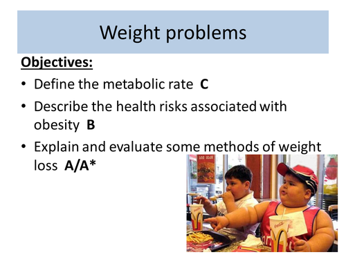 Obesity, metabolic rate and energy needs