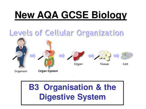 New AQA B3 Biology Separates 2017