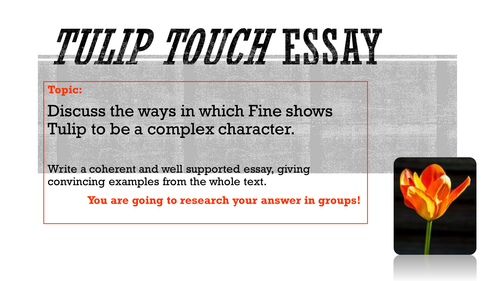 'Tulip Touch' - step-by-step after reading essay preparation using the 'jigsaw method'