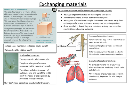 Exchanging materials revision sheet