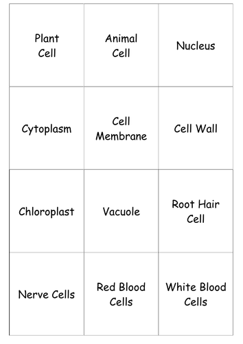 KS3 Plant and animal cells TURNOVER CARDS