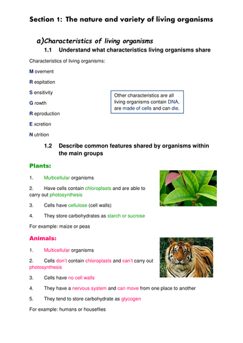 IGCSE Biology revision notes