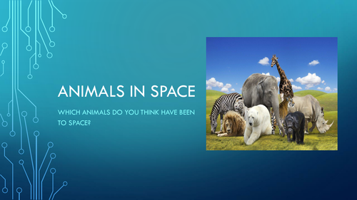 Animals in Space, Neil Armstrong introduction