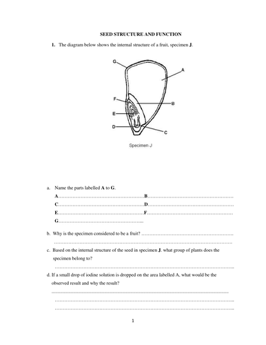 Seed Structure and Function | Teaching Resources