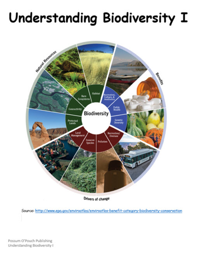 Understanding Biodiversity I and II