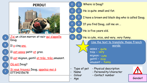 French Missing Pet Reading Activity and Template - Doug the Pug