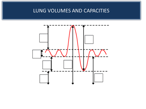 Lung volumes and capacities - interpreting a spirometer trace GCSE PE