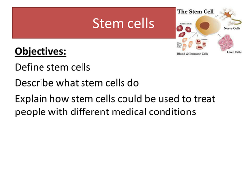 Stem cells New GCSE Biology AQA