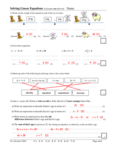 linear equations homework help