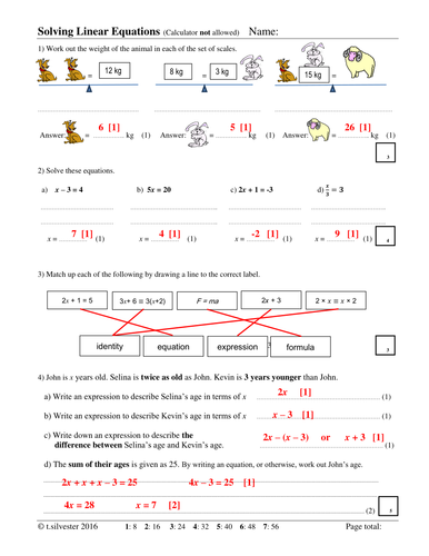 Solving Linear Equations homework or revision resource